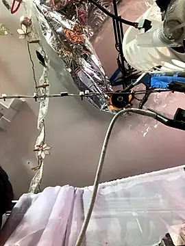 gurlnips online show from 11/26/25, 06:25