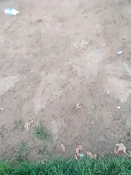 Snapshot of KINGJACKOFF chatting on 12/26/24, 03:27 KINGJACKOFF online show from 12/26/24, 03:27