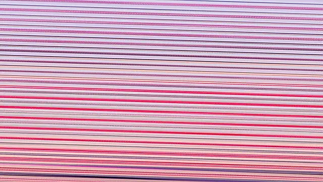 Annieefoxx online show from 11/07/25, 02:50