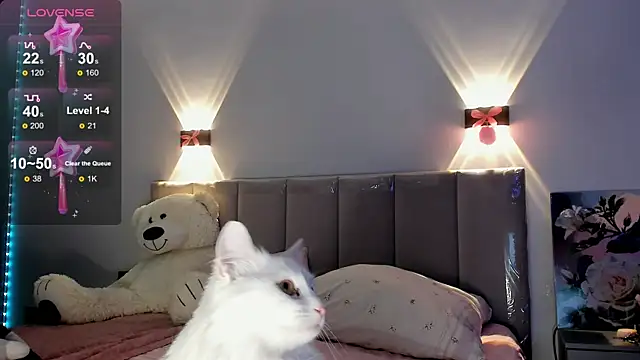 Snapshot of diana_nier chatting on 09/08/25, 07:35 diana nier online show from 09/08/25, 07:35