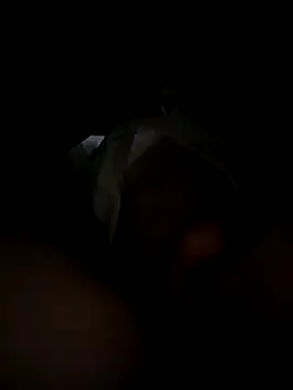 toysonly online show from 12/02/25, 11:34