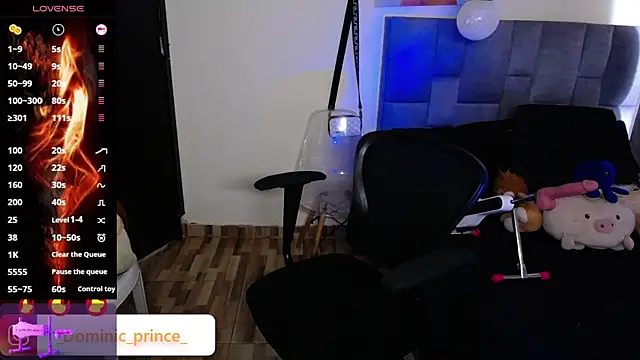 DominicPrince online show from 11/24/25, 07:02