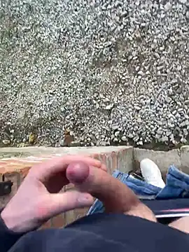 Snapshot of Nicky-98 chatting on 12/26/24, 03:42 Nicky-98 online show from 12/26/24, 03:42