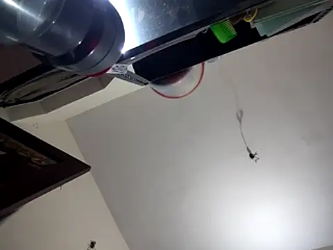 bigvorn6 online show from 03/29/26, 06:24