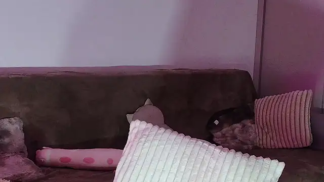 Eva Millar online show from 02/21/26, 08:26