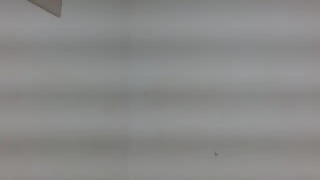 yulissa18 online show from 01/29/25, 03:22