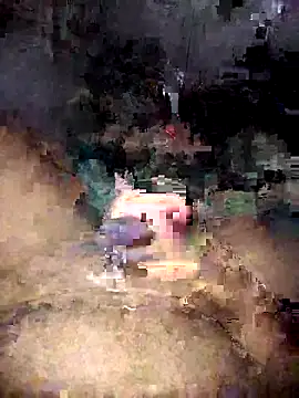 Zenfox24 online show from 04/07/26, 11:43