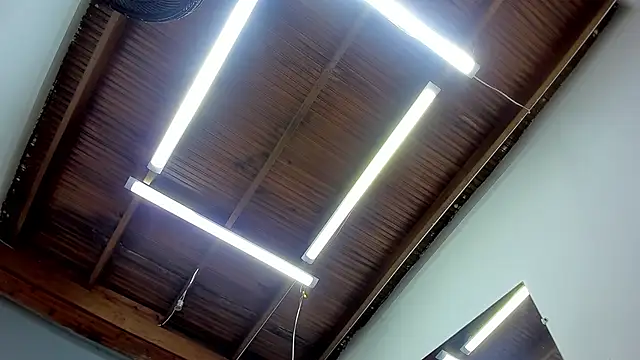 esteban cor online show from 01/22/25, 06:42