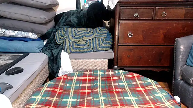 Snapshot of ladyscarlotta chatting on 02/09/25, 04:04 ladyscarlotta online show from 02/09/25, 04:04