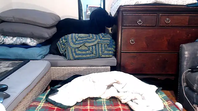 Snapshot of ladyscarlotta chatting on 02/09/25, 04:50 ladyscarlotta online show from 02/09/25, 04:50