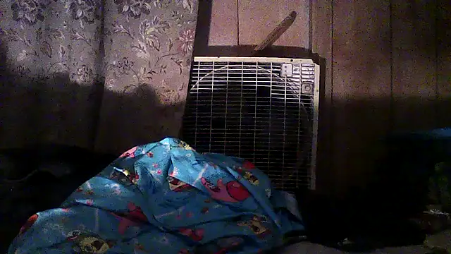 luke thighwalker2469 online show from 12/02/25, 02:50