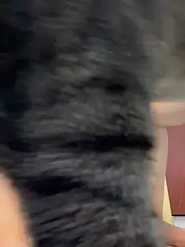 Barbielatinas online show from 02/14/26, 04:31