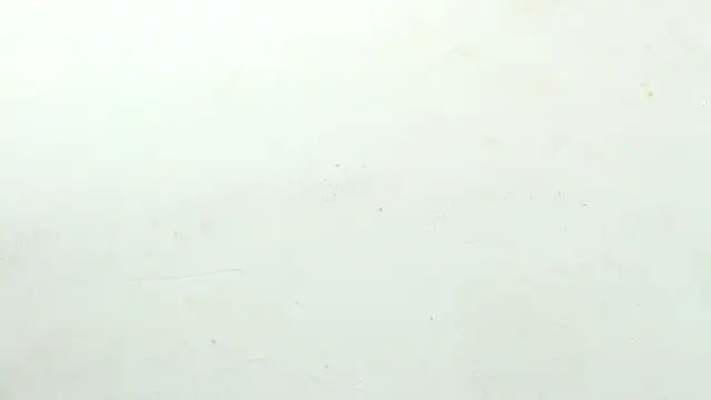 sinay024 online show from 02/27/26, 08:03