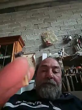 ros217 online show from 04/23/26, 05:04