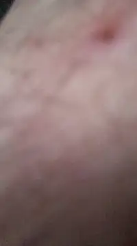 nevessartori online show from 12/27/24, 10:05