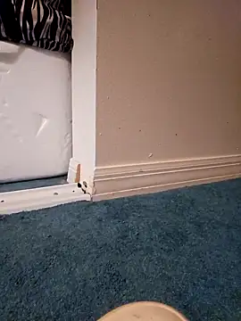 Snapshot of jorwee chatting on 01/27/25, 08:17 jorwee online show from 01/27/25, 08:17