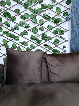 Bold-Cat online show from 12/05/24, 11:07