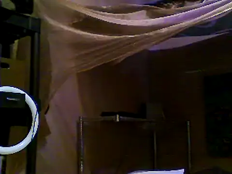 JdLove1 online show from 12/31/24, 07:40