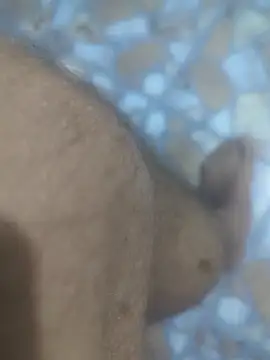 Sunnyboy7897 online show from 03/09/26, 10:47