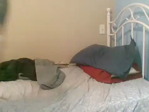 Snapshot of SmokingSloth chatting on 03/09/25, 05:06 SmokingSloth online show from 03/09/25, 05:06