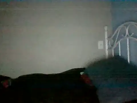 Snapshot of SmokingSloth chatting on 03/16/25, 05:14 SmokingSloth online show from 03/16/25, 05:14