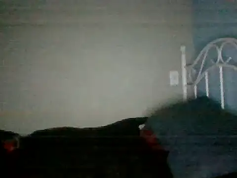 Snapshot of SmokingSloth chatting on 03/16/25, 08:21 SmokingSloth online show from 03/16/25, 08:21