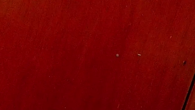 anisha x online show from 10/04/25, 07:12