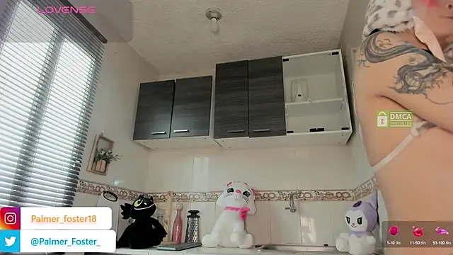 Snapshot of Palmer-Foster chatting on 09/09/25, 09:03 Palmer-Foster online show from 09/09/25, 09:03