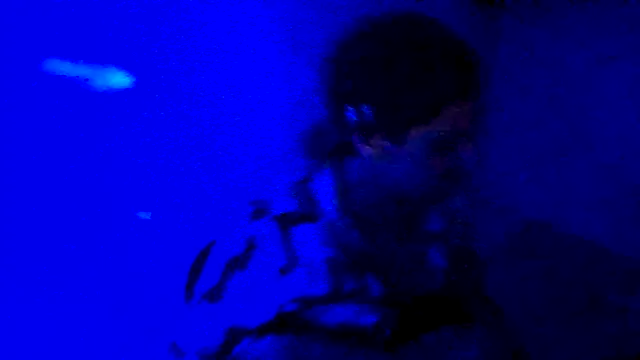 couplemilk online show from 04/06/26, 04:10