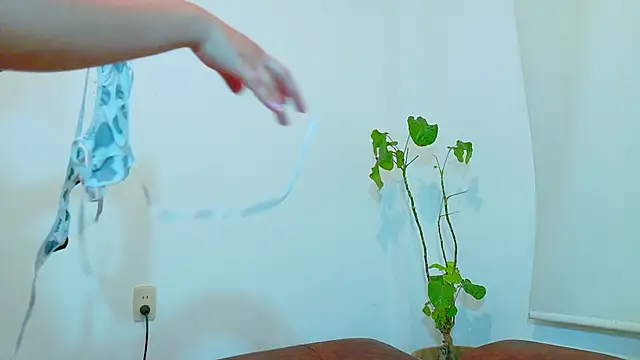 clydexxxbunny online show from 12/07/24, 06:48