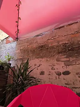 Fun Everywhere online show from 04/16/26, 06:30