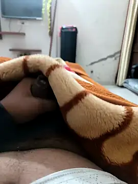 Snapshot of arshvir133 chatting on 11/27/25, 01:13 arshvir133 online show from 11/27/25, 01:13