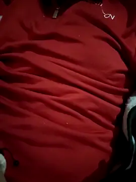 CuriousBear online show from 04/29/26, 08:37