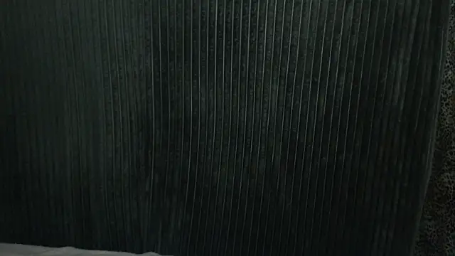 Snapshot of 1BECHA1 chatting on 12/03/25, 07:49 1BECHA1 online show from 12/03/25, 07:49