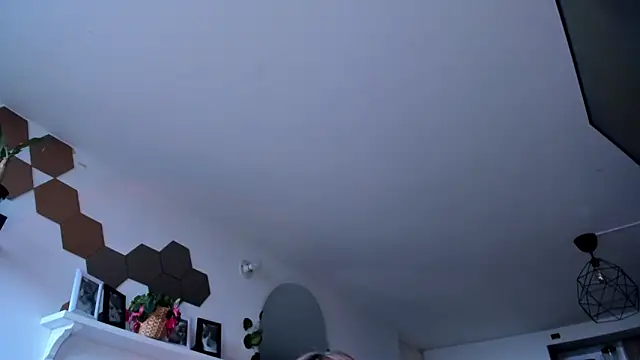 evy orange1 online show from 03/05/26, 12:12