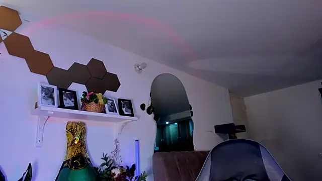 evy orange1 online show from 03/21/26, 03:00