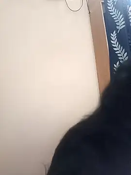 Anjali 88 online show from 12/22/25, 09:50