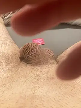 piler123 online show from 02/06/26, 01:54