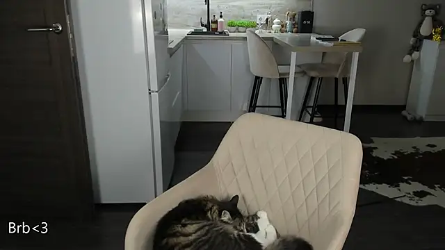 nilliluv online show from 03/19/26, 11:20