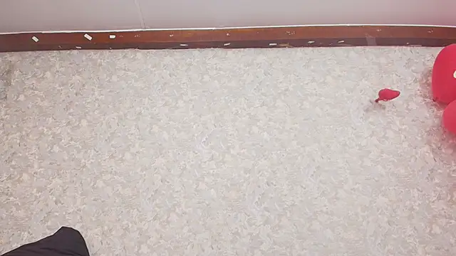 Snapshot of nicol_f chatting on 02/15/25, 07:17 nicol f online show from 02/15/25, 07:17