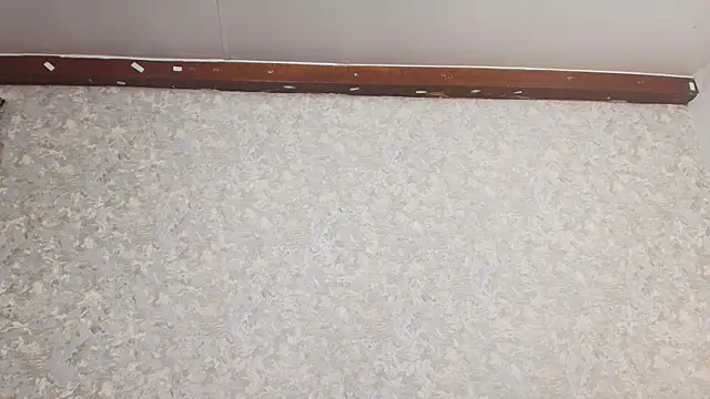 Snapshot of nicol_f chatting on 03/05/25, 01:31 nicol f online show from 03/05/25, 01:31