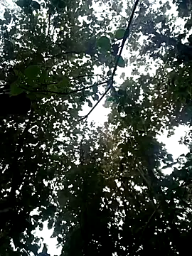 Snapshot of Fucker_boy_1 chatting on 01/19/25, 03:50 Fucker boy 1 online show from 01/19/25, 03:50