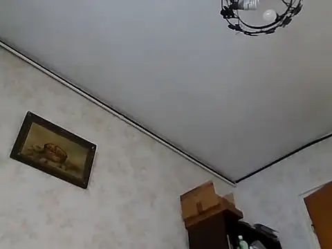 mariusica1xh online show from 11/01/25, 11:45