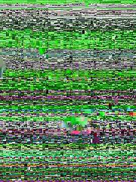 YawlingJingoist online show from 03/19/26, 11:20