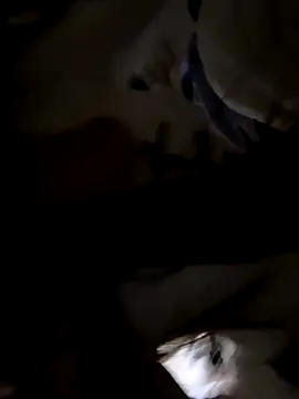 Sweet-Angel999 online show from 11/30/25, 05:28