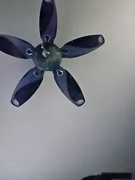 Snapshot of honeymex chatting on 09/18/25, 10:56 honeymex online show from 09/18/25, 10:56