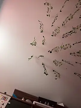 Snapshot of -Sexy_Barbie- chatting on 02/26/25, 03:42 -Sexy Barbie- online show from 02/26/25, 03:42