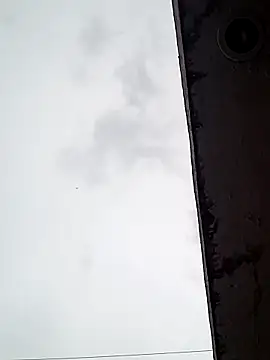 Professor Leo  online show from 02/16/25, 11:05