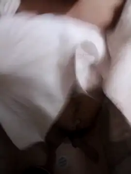 Professor Leo  online show from 02/02/26, 02:54