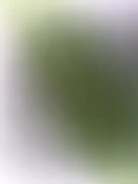 mrwright878787 online show from 12/27/24, 07:14